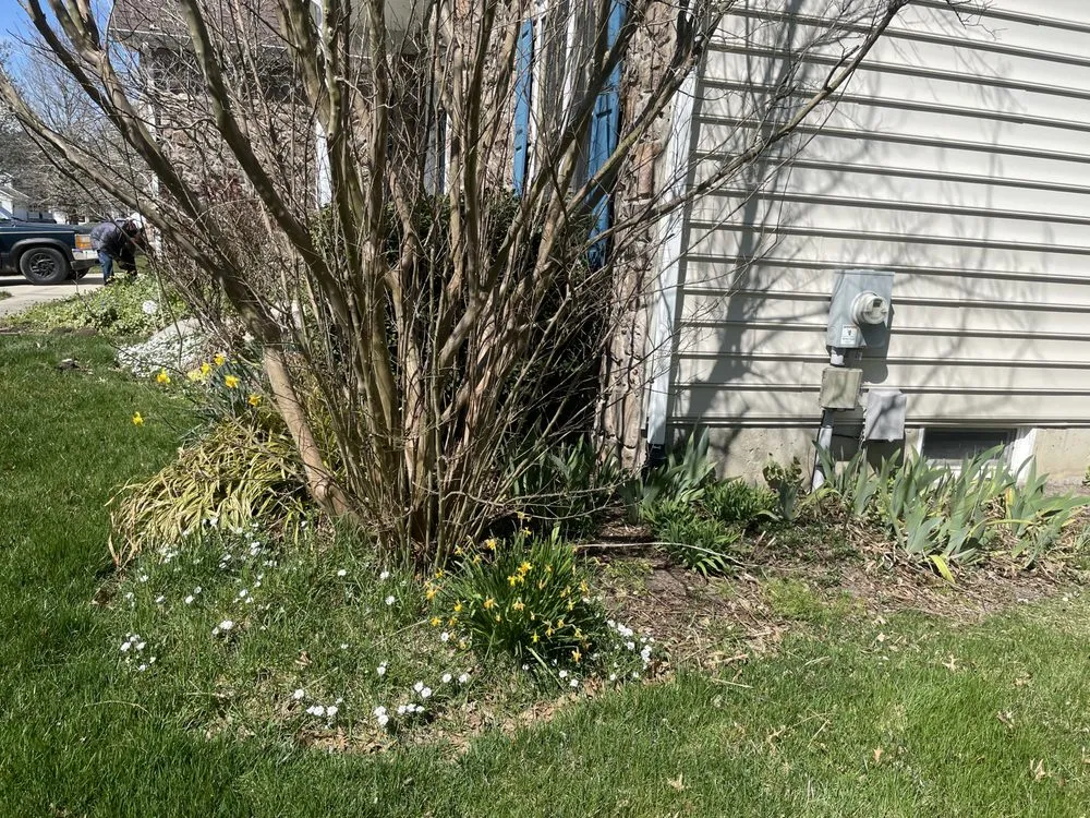 Local lawn mowing service for residential properties across Milton, DE - Greenland Landscaping & Tree Service