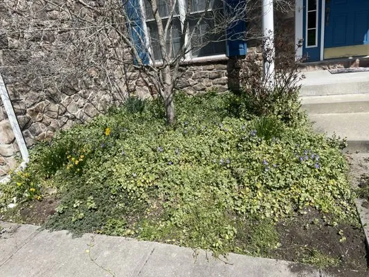 Greenland Landscaping & Tree Service