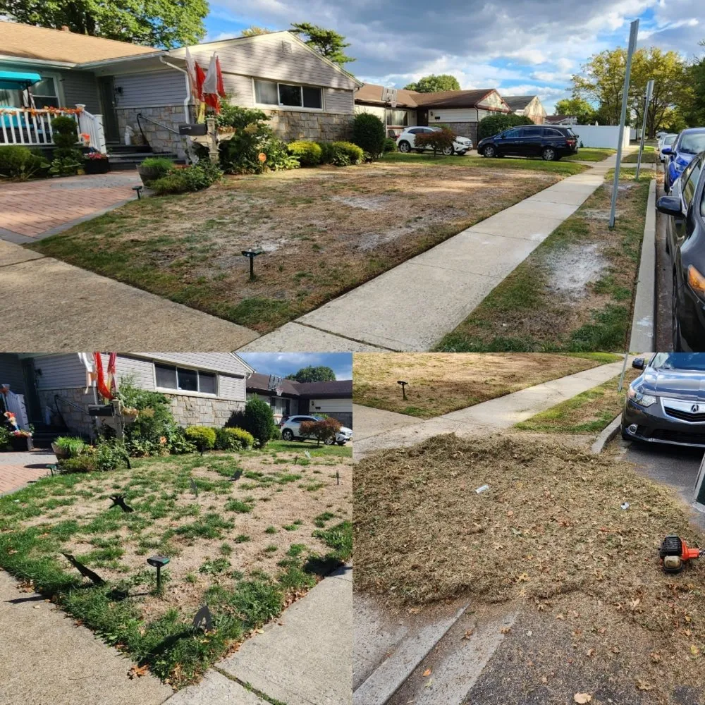 Custom residential landscaping for beautiful yards across Queens, NY - Greenland Landscaping