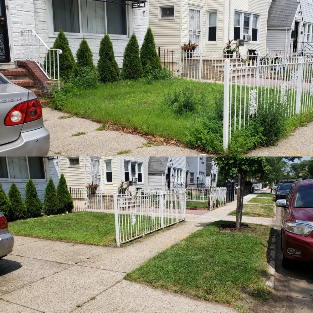 Top-rated lawn care service in Queens, NY - Greenland Landscaping