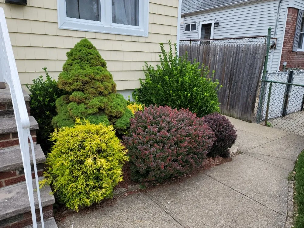 Affordable residential landscaping in Queens, NY by Greenland Landscaping