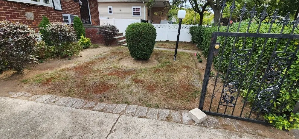 Professional yard cleanup service near you in Queens, NY by Greenland Landscaping