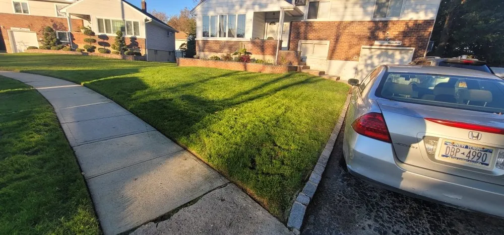 Custom yard cleanup service experts serving Queens, NY - Greenland Landscaping