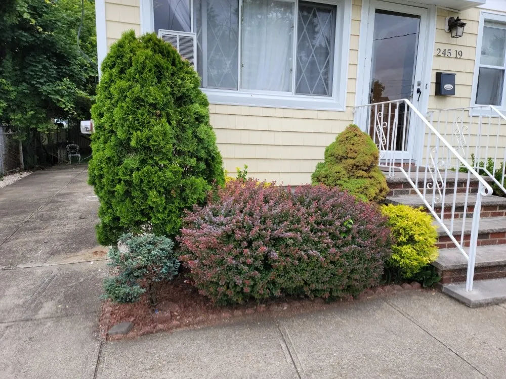 Trusted landscaping services for year-round maintenance across Queens, NY - Greenland Landscaping