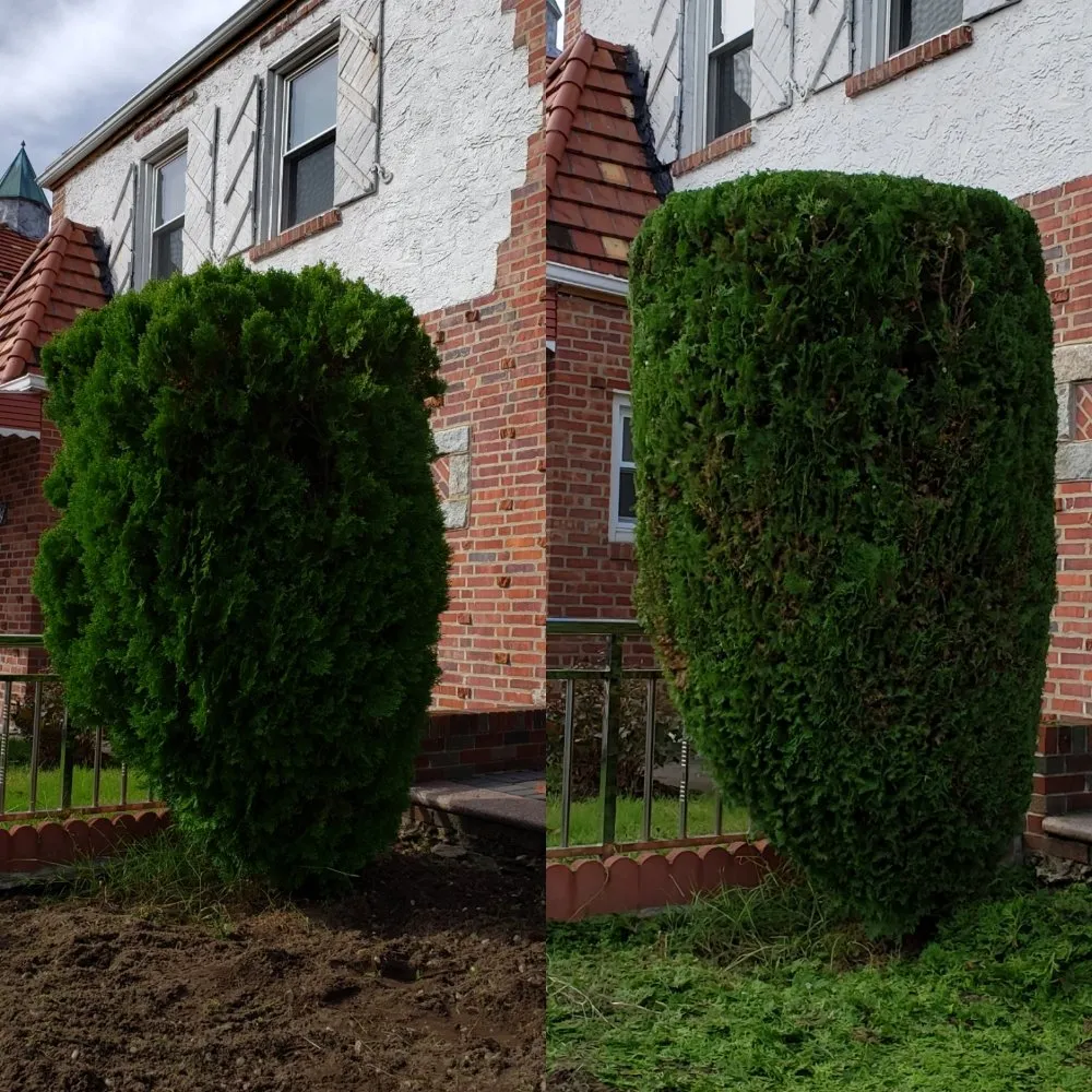 Expert lawn care service experts serving Queens, NY - Greenland Landscaping