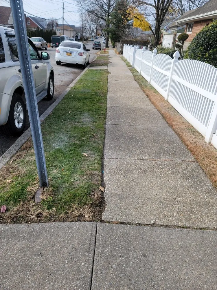 Affordable lawn care service for year-round maintenance in Queens, NY by Greenland Landscaping