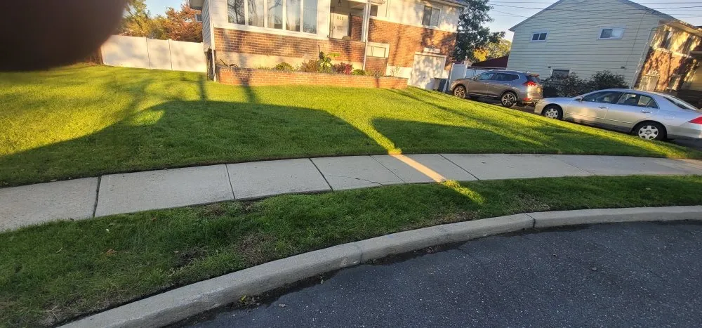 Local yard cleanup service in Queens, NY - Greenland Landscaping