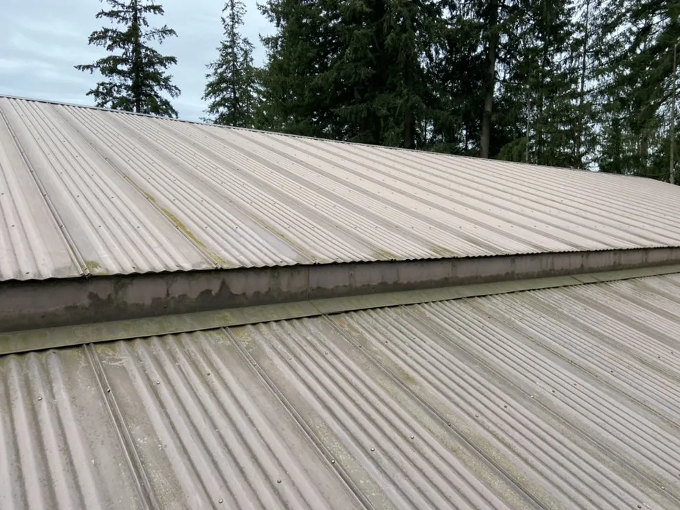 Reliable outdoor landscaping for residential properties across Woodland, WA - Greenland Landscaping