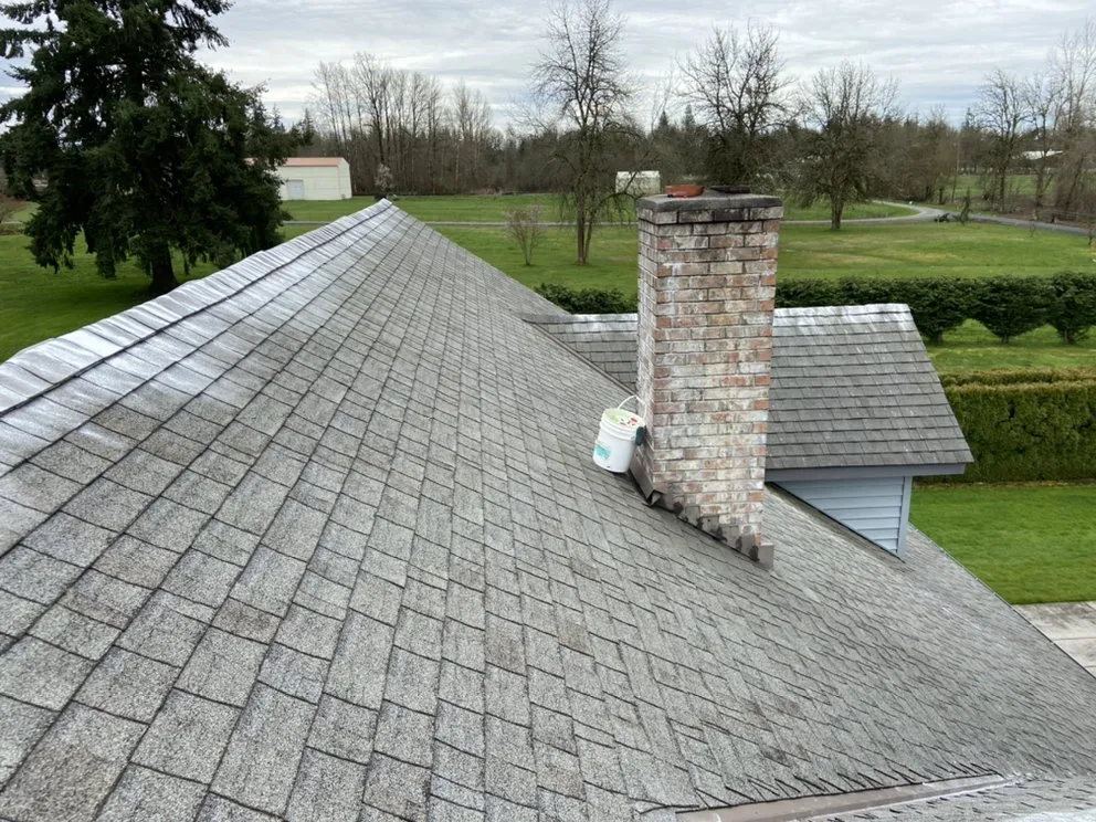 Expert yard cleanup service in Woodland, WA - Greenland Landscaping