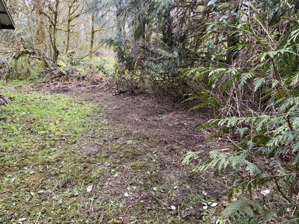 Affordable landscape design experts serving Woodland, WA - Greenland Landscaping