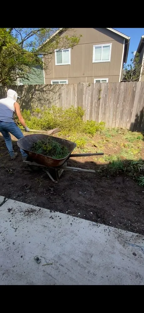 Trusted lawn care service experts serving Woodland, WA - Greenland Landscaping