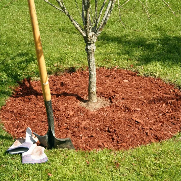 Trusted garden landscaping in Pleasant Grove, UT by Greenland Lawn Care & Landscaping