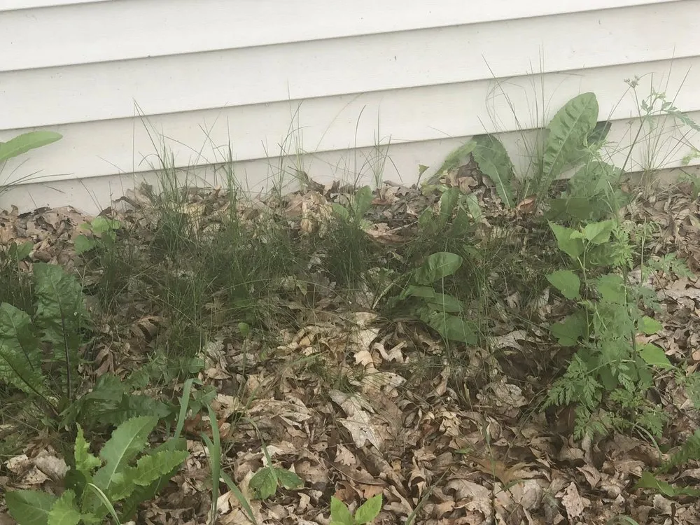 Trusted garden landscaping in Apple Valley, MN - Greenland Lawn Maintenance