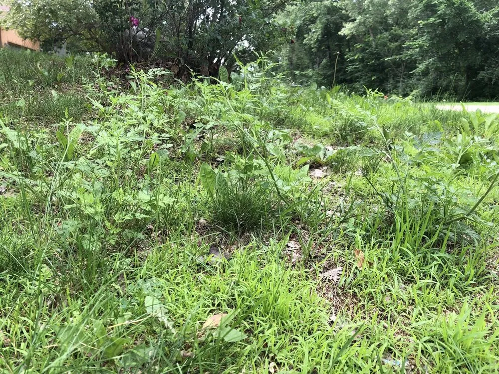 Local residential landscaping in Apple Valley, MN - Greenland Lawn Maintenance