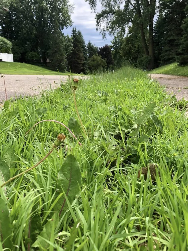 Professional landscape design in Apple Valley, MN by Greenland Lawn Maintenance