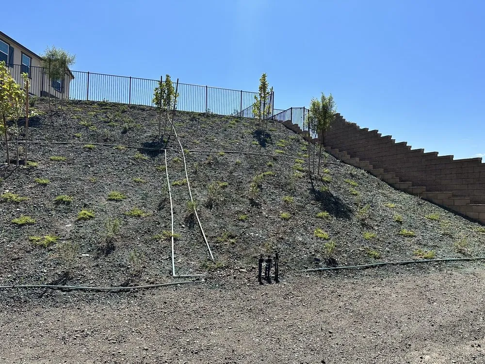 Reliable landscaping services near you across Perris, CA - Greenlands Landscaping