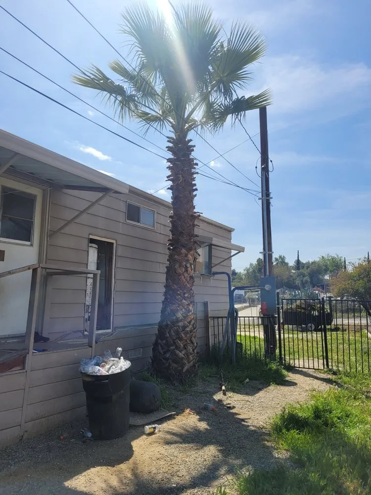 Top-rated garden landscaping in Perris, CA - Greenlands Landscaping