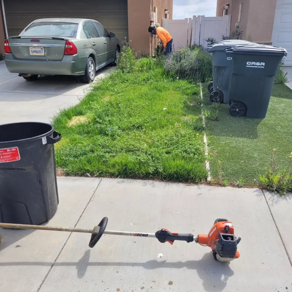 Professional yard maintenance in Perris, CA - Greenlands Landscaping