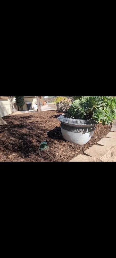 Custom yard maintenance experts serving Perris, CA - Greenlands Landscaping