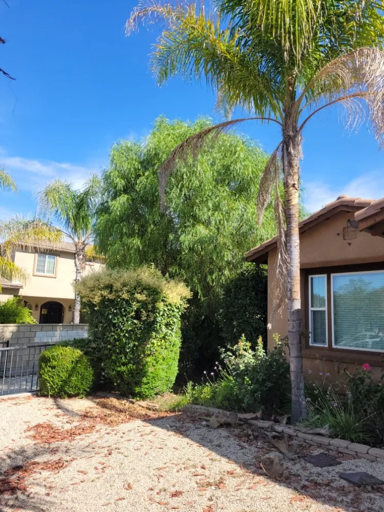 Affordable landscape design near you across Perris, CA - Greenlands Landscaping