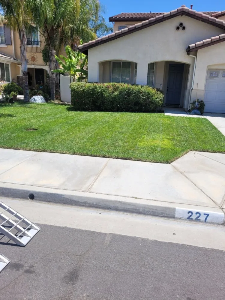 Affordable yard cleanup service in Perris, CA - Greenlands Landscaping