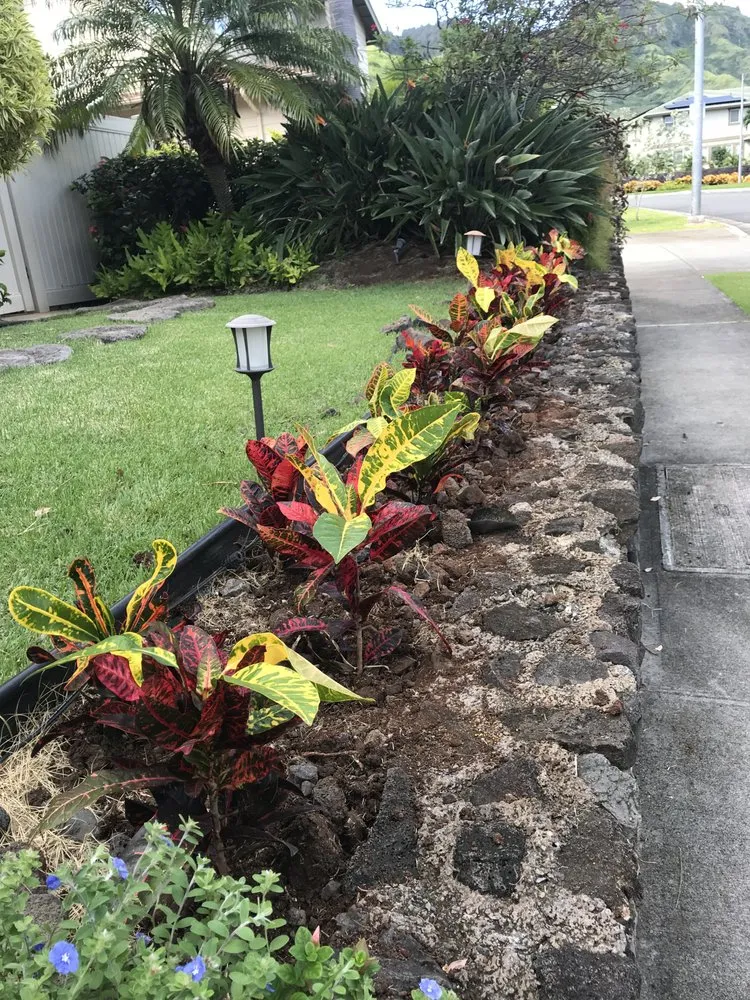 Local yard cleanup service with custom design in Waipahu, HI by Greenlands Landscaping