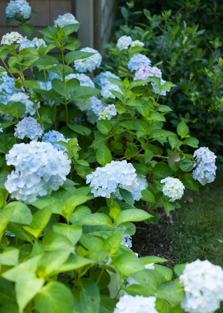 Affordable landscape design in Vineyard Haven, MA - Greenlands Property Services