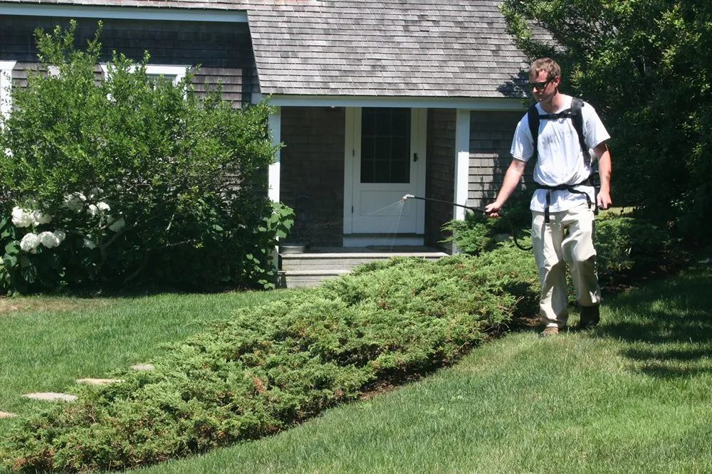 Expert yard maintenance for homes across Vineyard Haven, MA - Greenlands Property Services