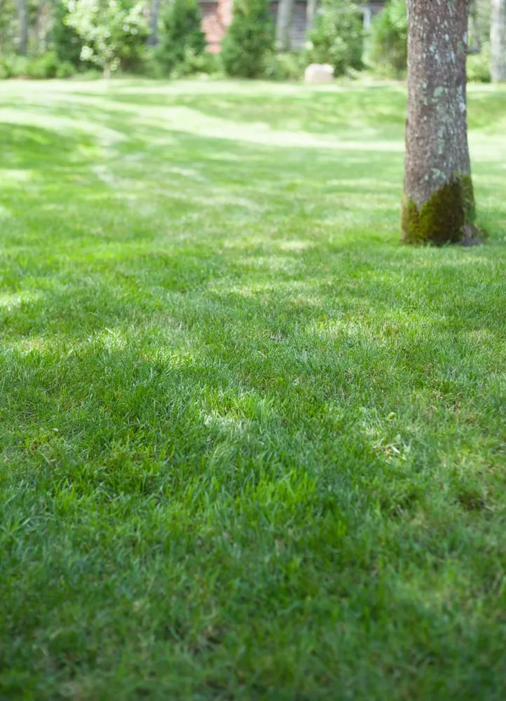 Top-rated yard maintenance near you in Vineyard Haven, MA by Greenlands Property Services