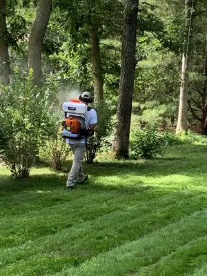 Greenlands Property Services