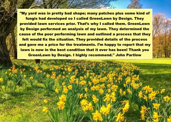 Top-rated landscape design in Westfield, IN - GreenLawn by Design