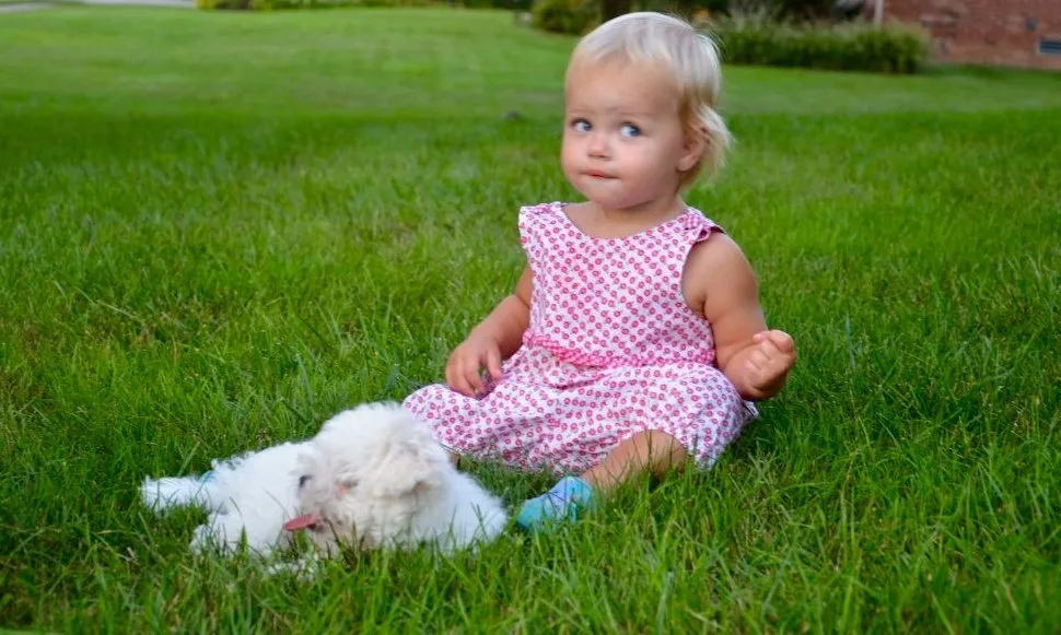 Affordable residential landscaping in Westfield, IN - GreenLawn by Design