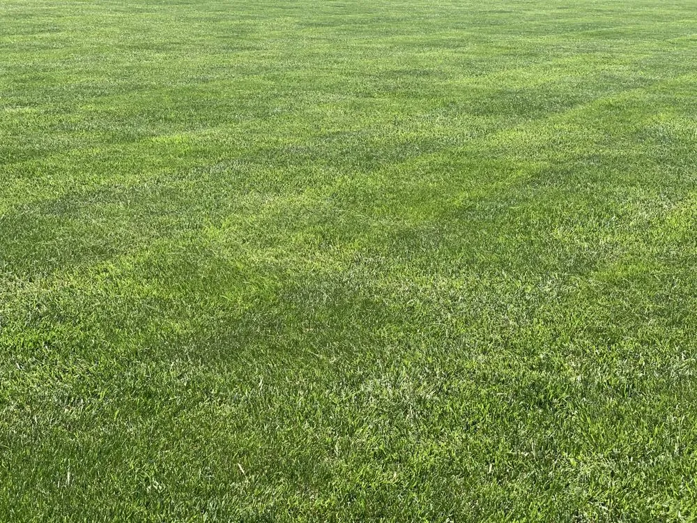 Professional outdoor landscaping for residential properties in Ozark, MO by GreenLawn Fertilizer