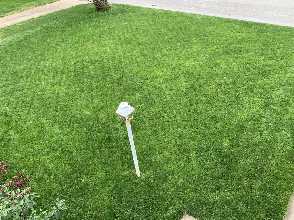 Local yard cleanup service in Ozark, MO by GreenLawn Fertilizer