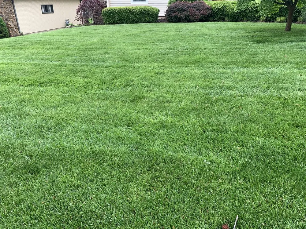 Trusted lawn care service for year-round maintenance in Ozark, MO by GreenLawn Fertilizer