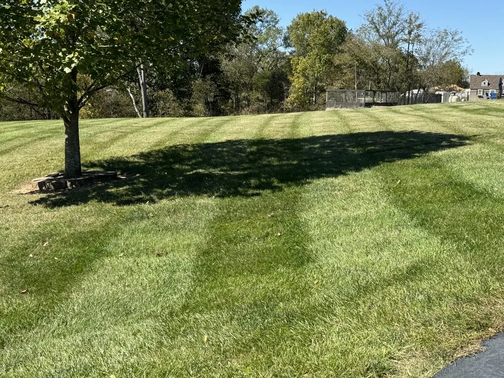 Affordable lawn mowing service in Ozark, MO - GreenLawn Fertilizer