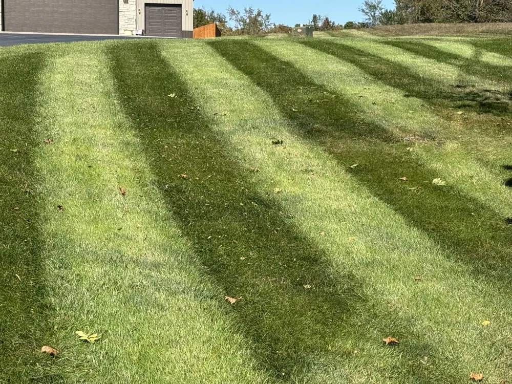 Reliable outdoor landscaping experts serving Ozark, MO - GreenLawn Fertilizer