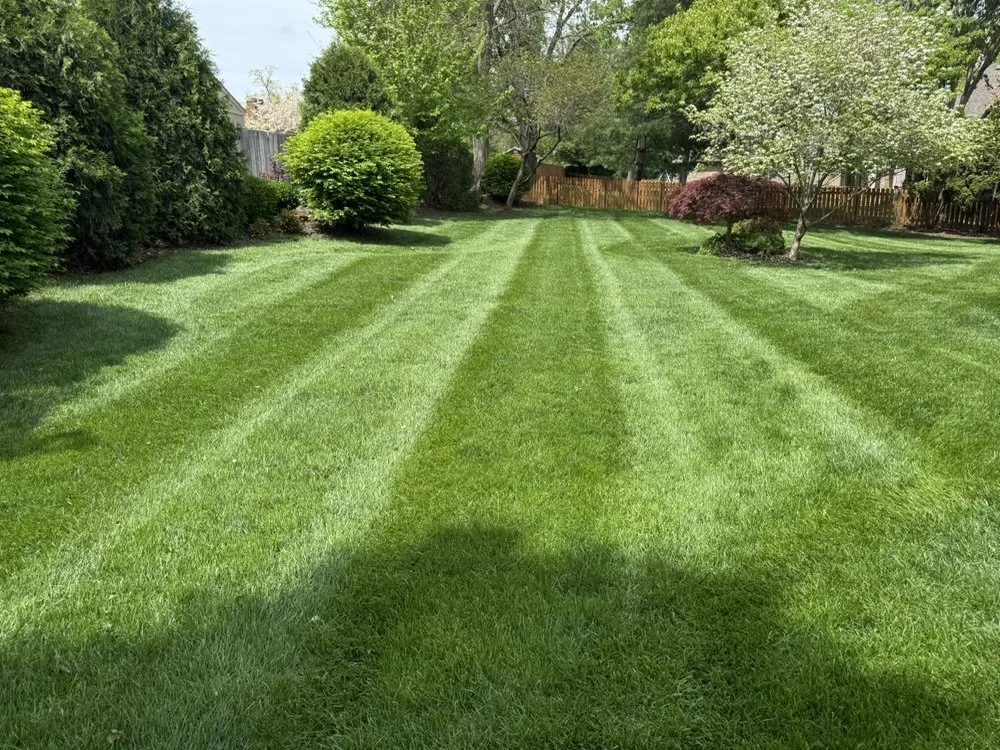 Trusted landscape design for outdoor upgrades in Ozark, MO by GreenLawn Fertilizer