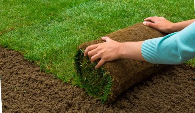 Professional landscape installation experts serving Fort Collins, CO - Greenlawn Sod