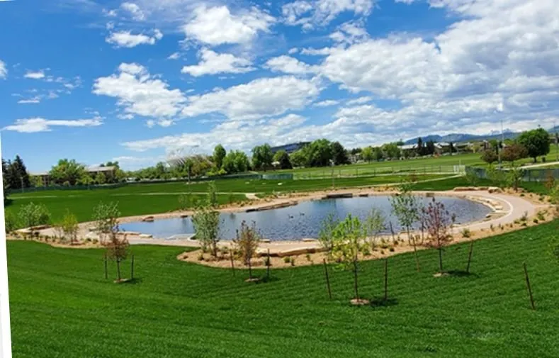 Local outdoor landscaping in Fort Collins, CO by Greenlawn Sod