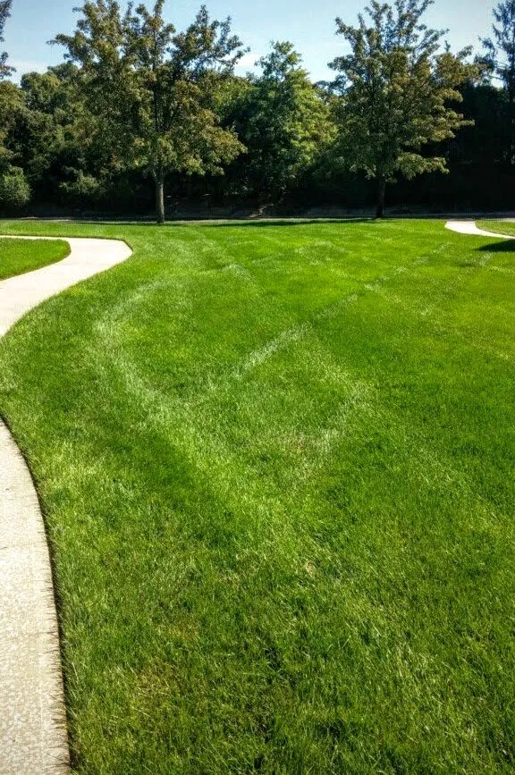 Top-rated landscaping services for outdoor upgrades across East Setauket, NY - Greenlawns of New York