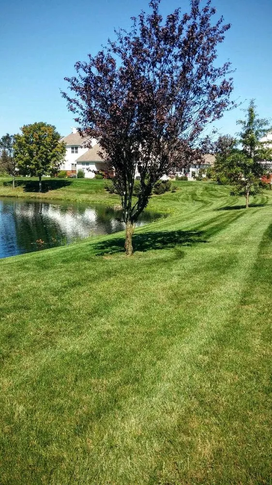 Expert yard cleanup service in East Setauket, NY - Greenlawns of New York