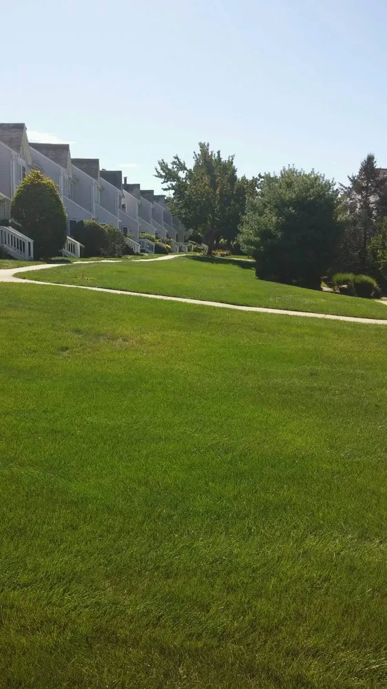 Expert yard maintenance in East Setauket, NY by Greenlawns of New York