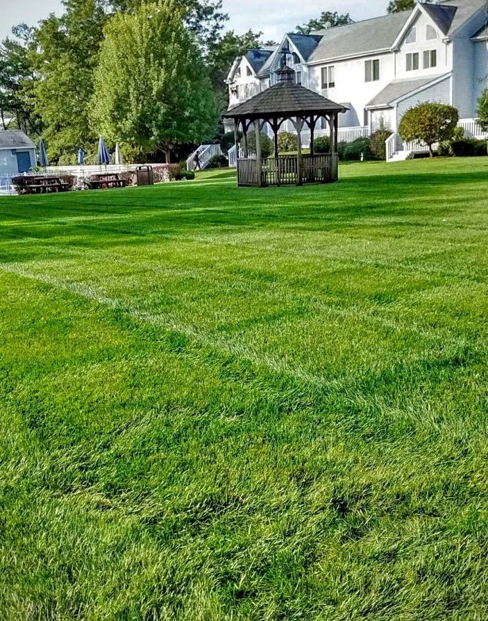 Professional lawn care service near you in East Setauket, NY by Greenlawns of New York