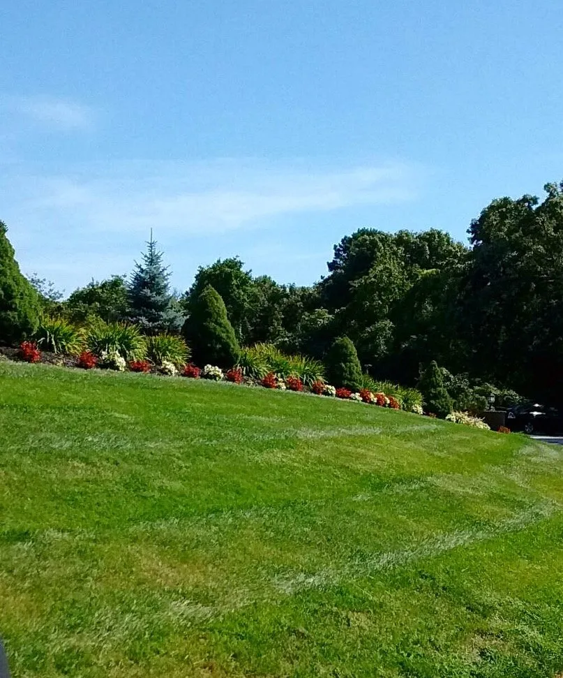 Professional landscaping services for outdoor upgrades in East Setauket, NY by Greenlawns of New York