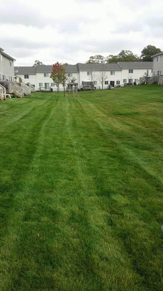 Local yard maintenance in East Setauket, NY - Greenlawns of New York