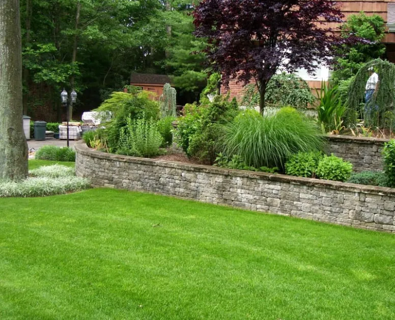 Top-rated landscaping services for beautiful yards across East Setauket, NY - Greenlawns of New York