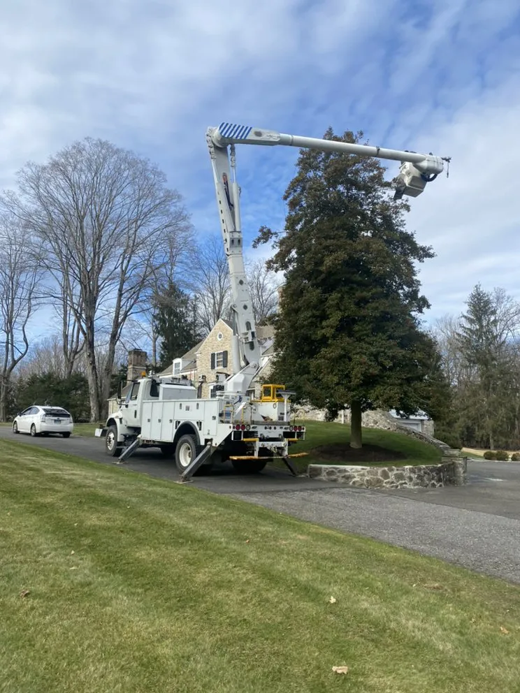 Affordable yard cleanup service in New Milford, CT by Greenleaf Landscape