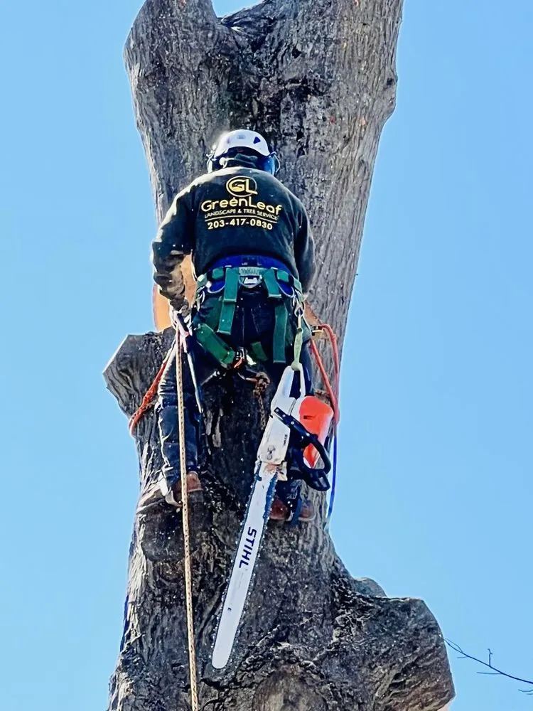 Expert garden landscaping for year-round maintenance across New Milford, CT - Greenleaf Landscape