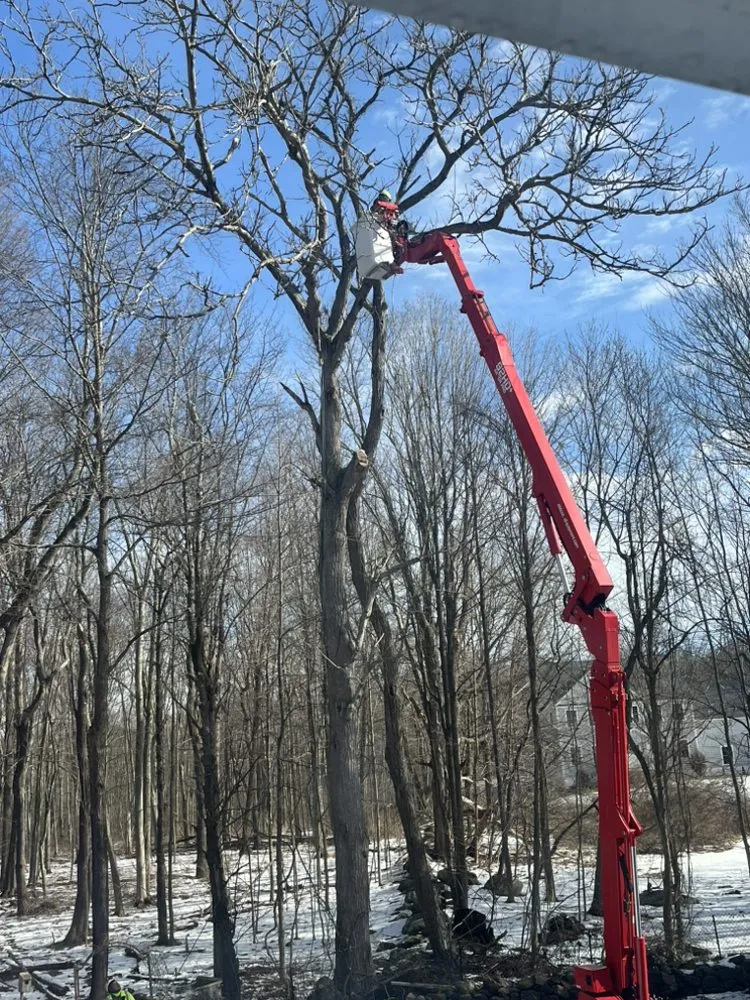 Top-rated yard maintenance for outdoor upgrades across New Milford, CT - Greenleaf Landscape